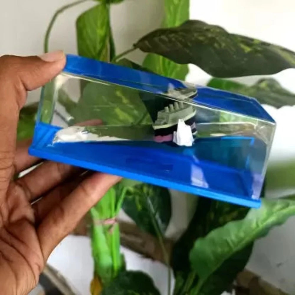 Unsinkable Cruise Ship - Fab Alchemy