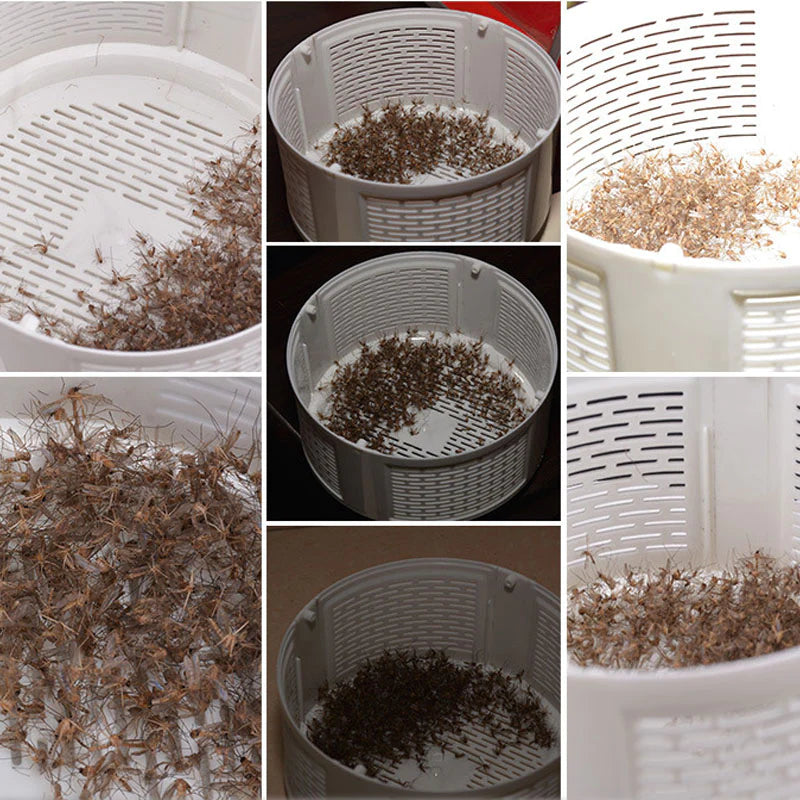 Mosquito Lure Trap Lamp - Fab Alchemy