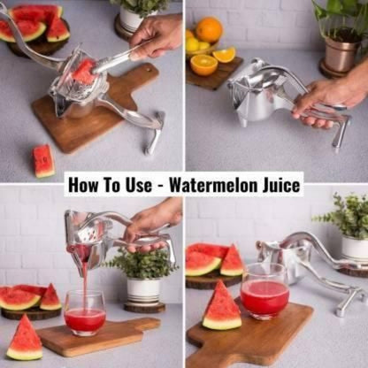 Fruit Press Aluminum Squeezer/Juicer - Fab Alchemy